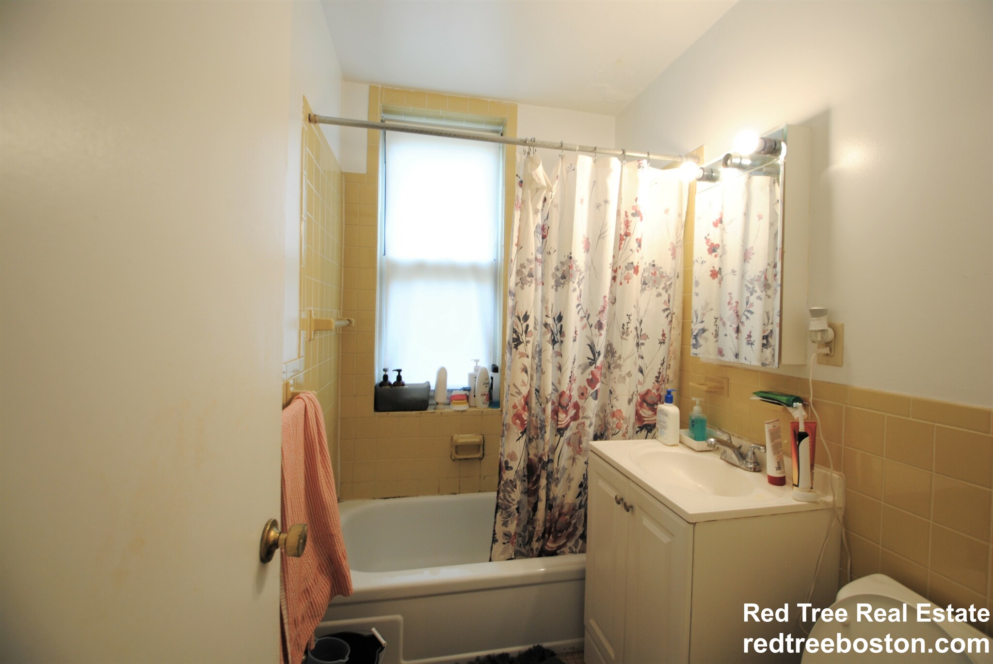 1 bed, 1 bath apartment for rent at 28 Colborne Rd Unit 9, Brighton — photo 9 of 11