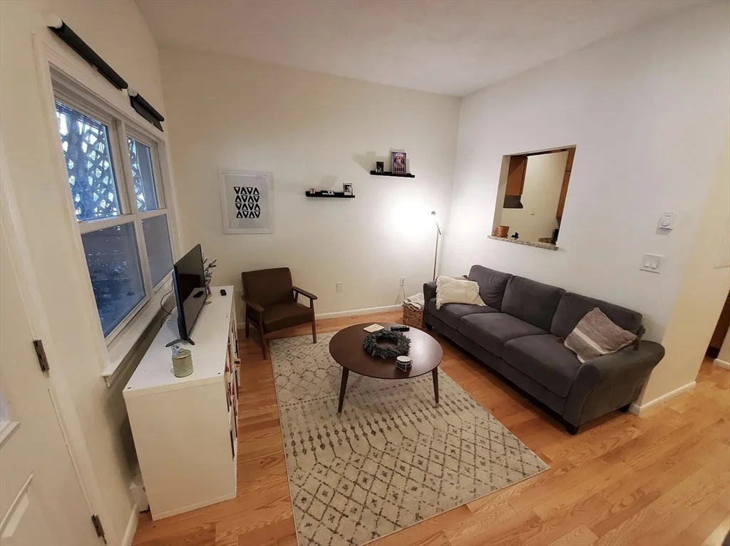 1 bed, 1 bath apartment for rent at 28 E Springfield St Unit 2, South End — photo 2 of 23