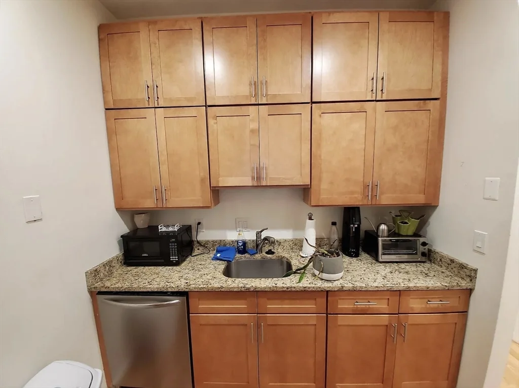 1 bed, 1 bath apartment for rent at 28 E Springfield St Unit 2, South End — photo 11 of 23