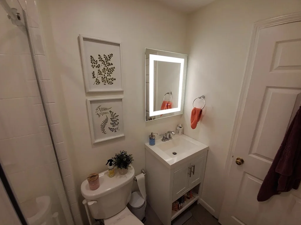 1 bed, 1 bath apartment for rent at 28 E Springfield St Unit 2, South End — photo 16 of 23