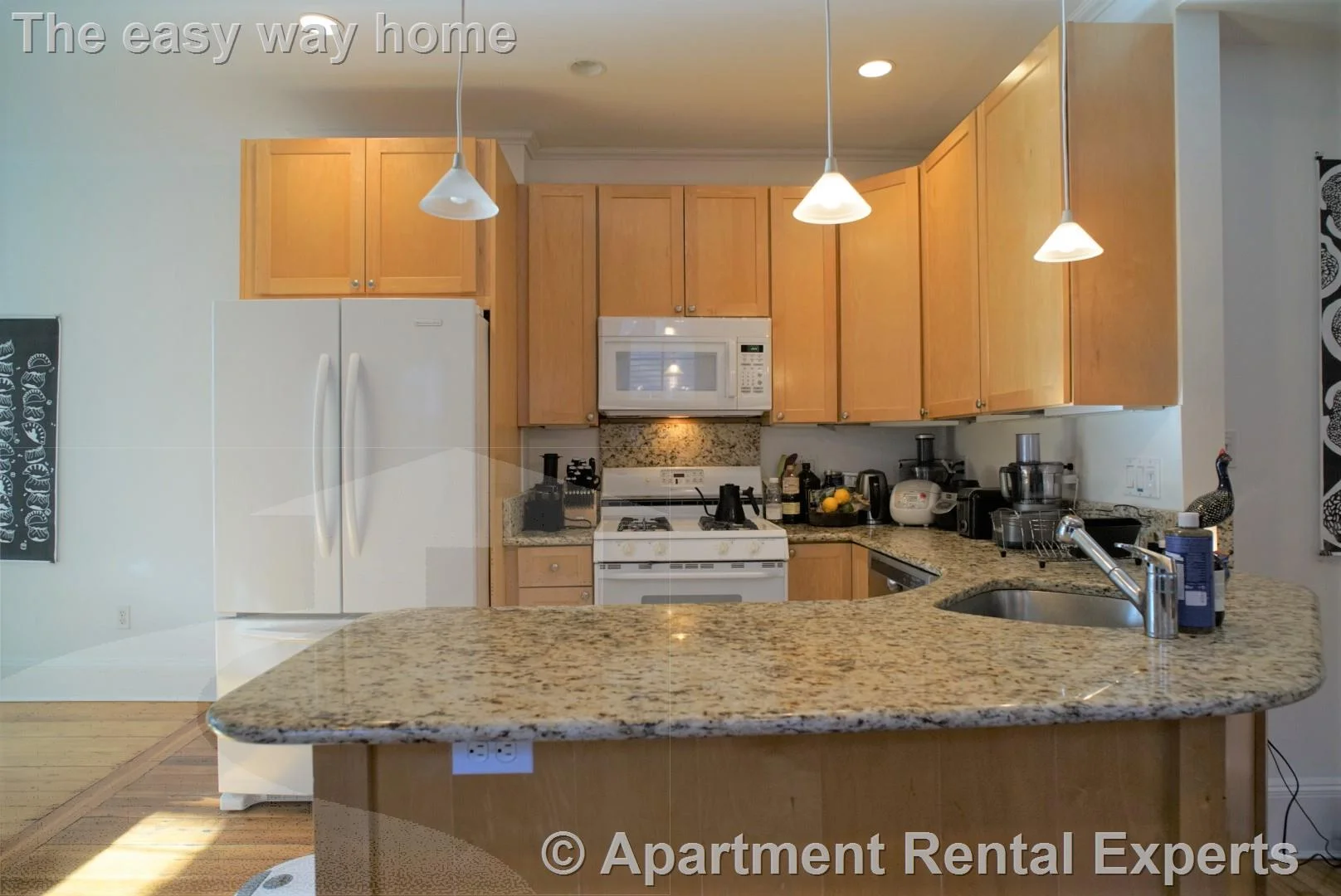 1 bed, 1 bath apartment for rent at 28 Healey St, Harvard Square — photo 2 of 18