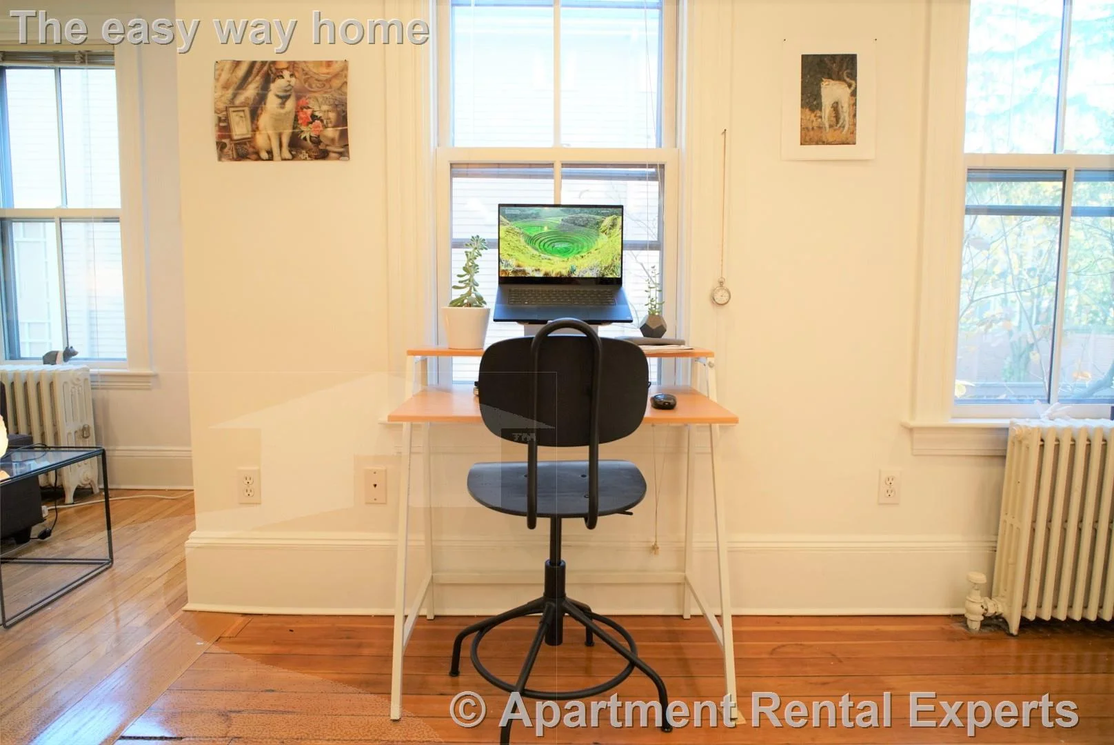 1 bed, 1 bath apartment for rent at 28 Healey St, Harvard Square — photo 7 of 18