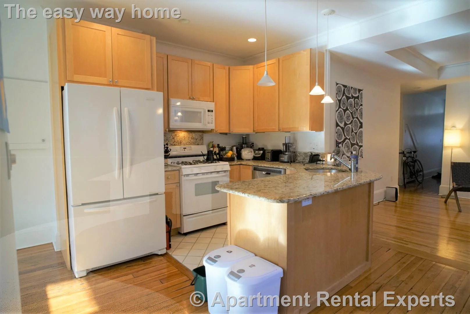 1 bed, 1 bath apartment for rent at 28 Healey St, Harvard Square — photo 4 of 18