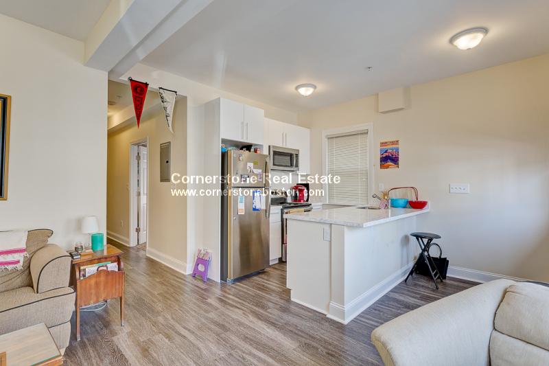 5 bed, 2 bath apartment for rent at 28 Hillside St Unit 1, Mission Hill