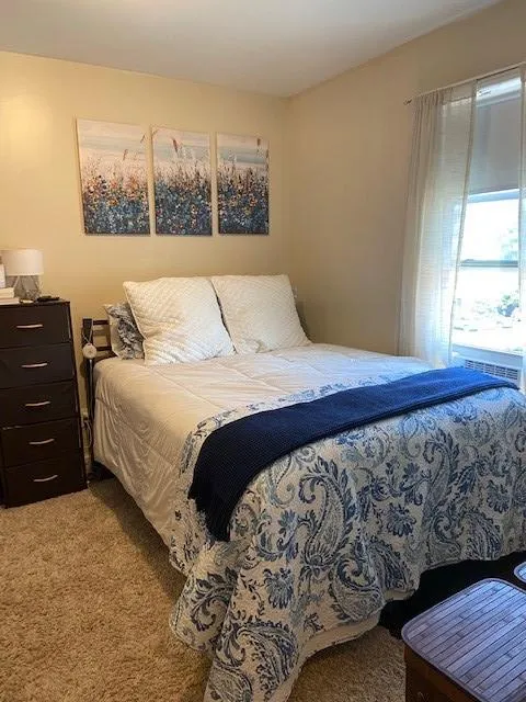 1 bed, 1 bath apartment for rent at 28 L St Unit 2, South Boston — photo 10 of 12