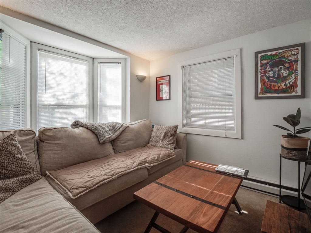 1 bed, 1 bath apartment for rent at 28 Mercer Unit 1, South Boston — photo 2 of 28