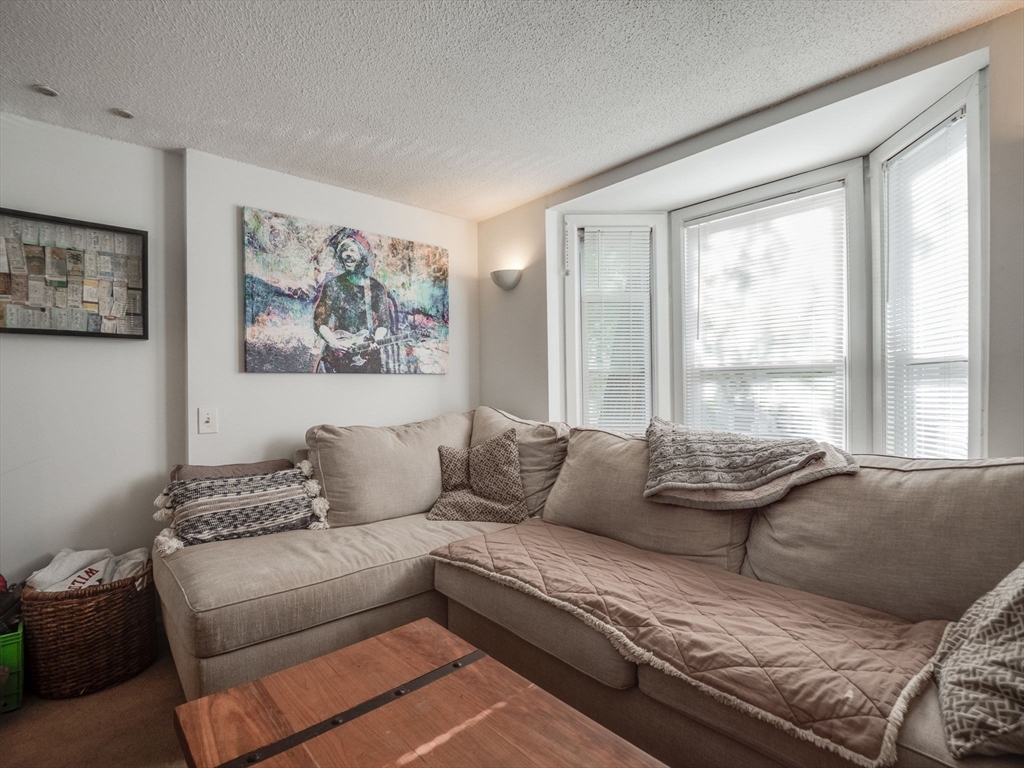 1 bed, 1 bath apartment for rent at 28 Mercer Unit 1, South Boston — photo 3 of 28