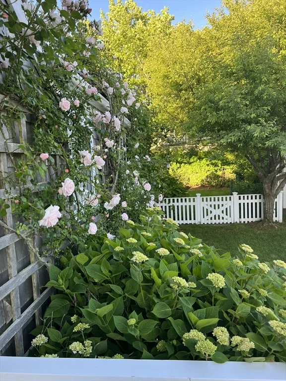 4 bed, 3 bath apartment for rent at 28 Morey Ln, Nantucket — photo 38 of 41