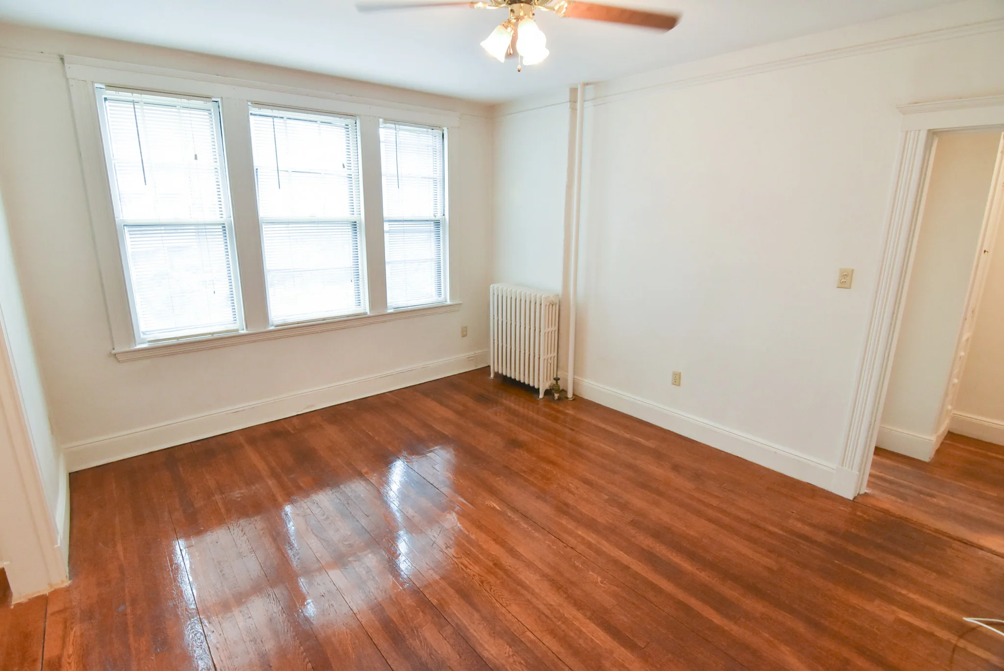 Studio bed, 1 bath apartment for rent at 28 Sidlaw Rd Unit 11, Brighton — photo 9 of 10