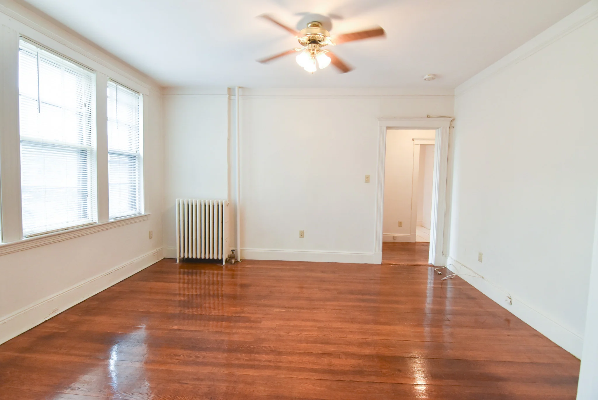Studio bed, 1 bath apartment for rent at 28 Sidlaw Rd Unit 11, Brighton — photo 6 of 10