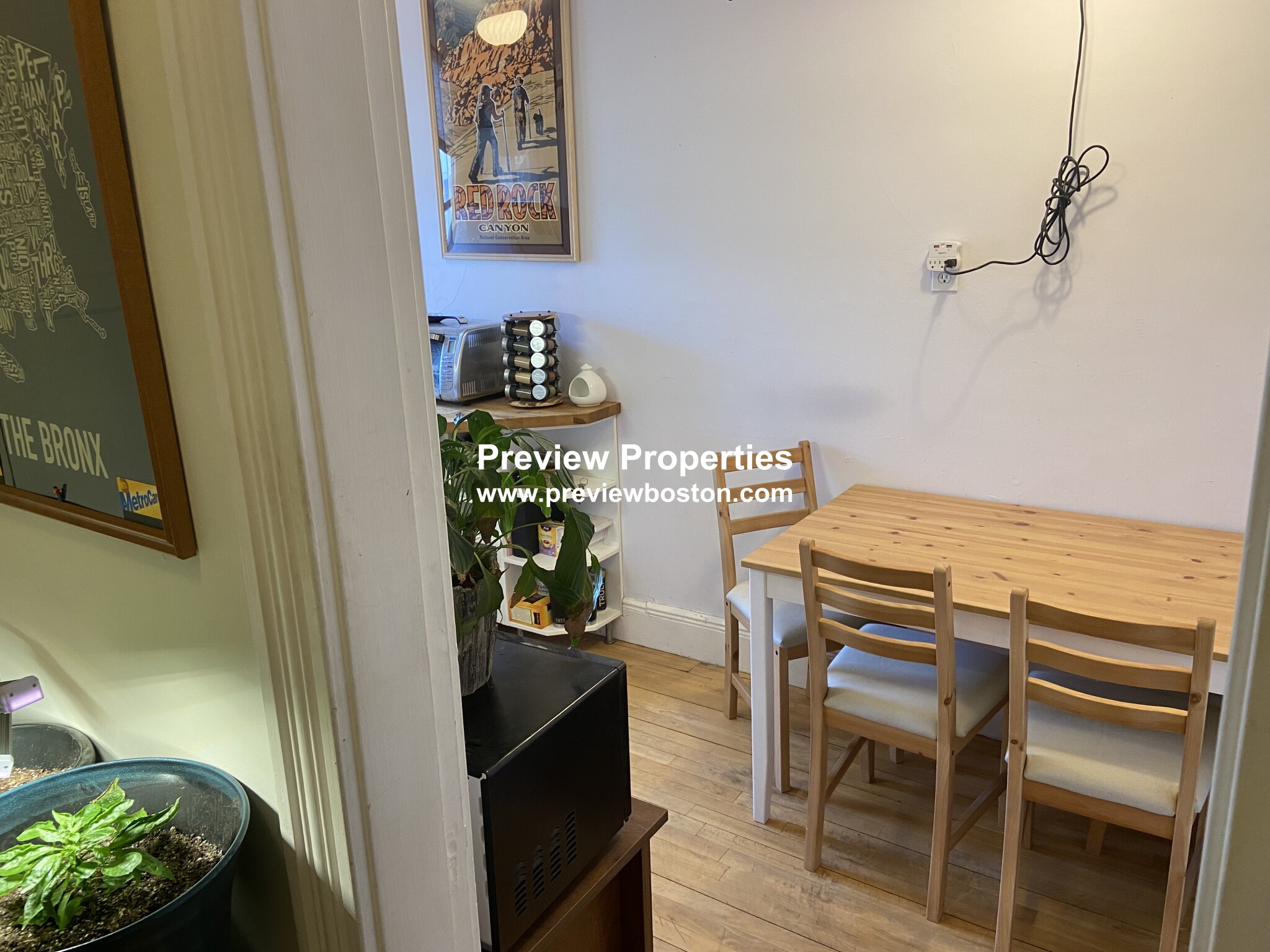 Studio bed, 1 bath apartment for rent at 28 Sidlaw Rd Unit 17, Brighton — photo 5 of 8