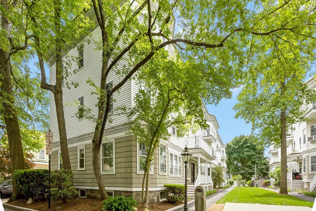 3 bed, 1 bath apartment for rent at 28 Stanton Rd Unit 6, Brookline — photo 21 of 29