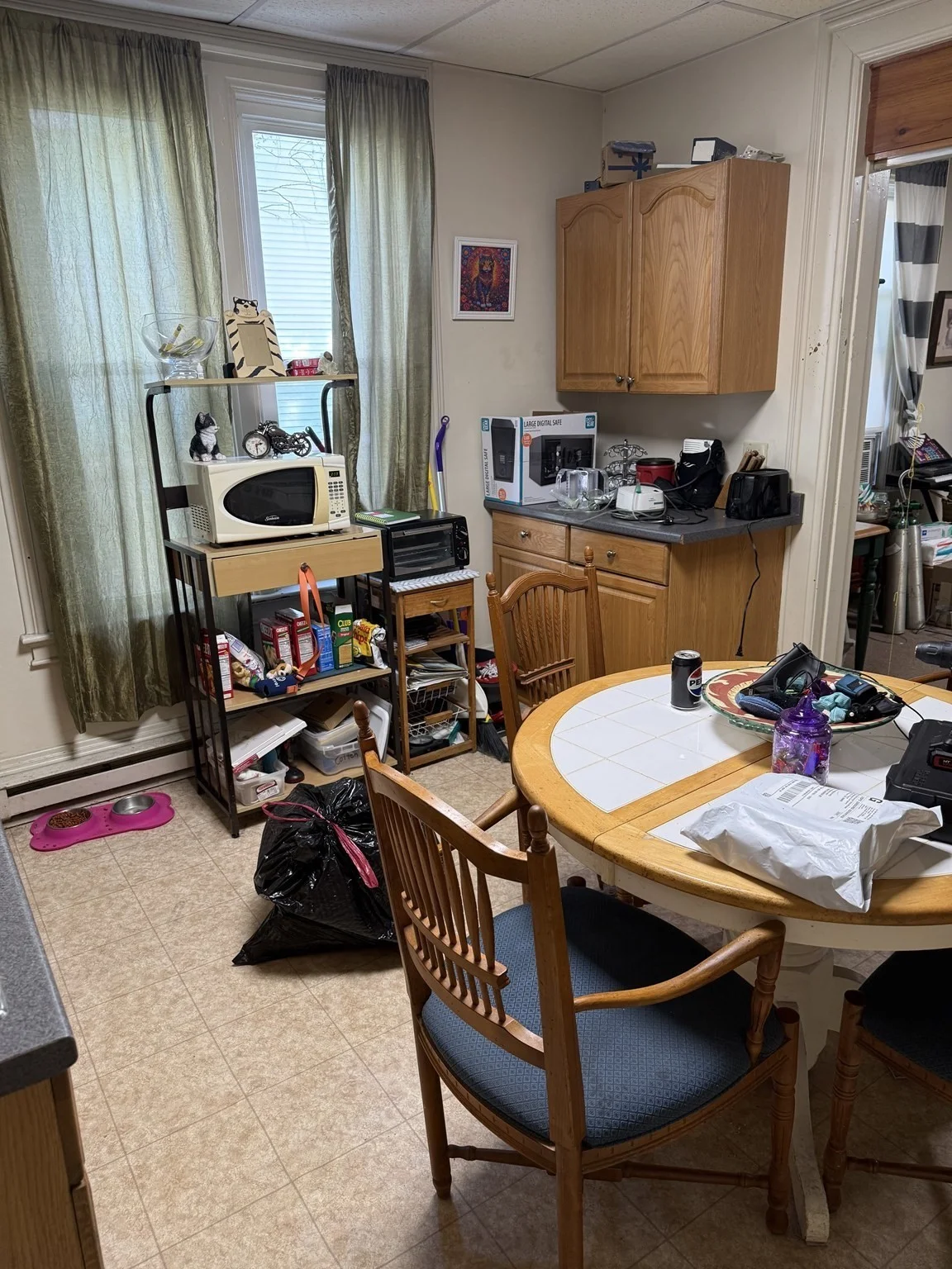 1 bed, 1 bath apartment for rent at 28 W Britannia St Unit 1F, Whittenton — photo 5 of 7