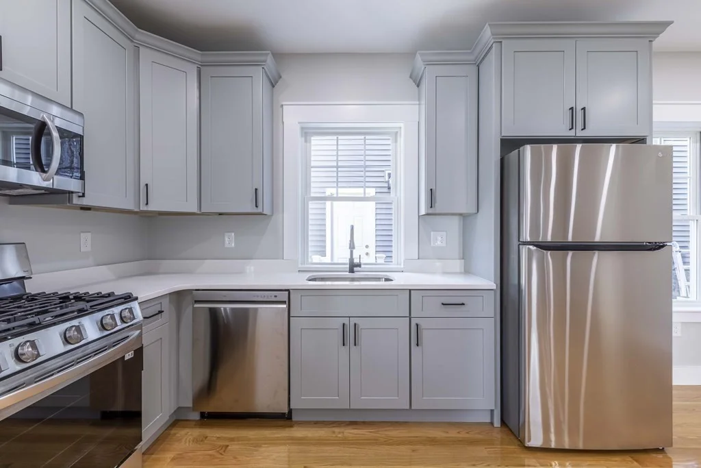 1 bed, 1 bath apartment for rent at 28 Wildwood St Unit 4, Dorchester — photo 4 of 17