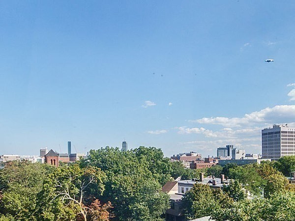 2 bed, 1 bath apartment for rent at 280 Harvard St Unit 6D, Central Square — photo 17 of 19