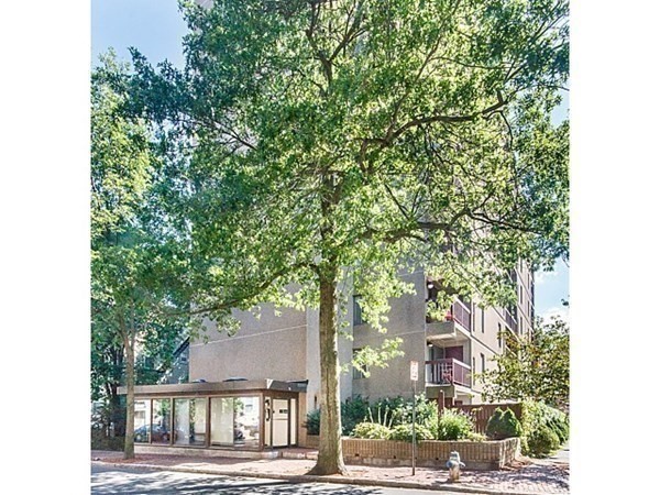 2 bed, 1 bath apartment for rent at 280 Harvard St Unit 6D, Central Square — photo 18 of 19