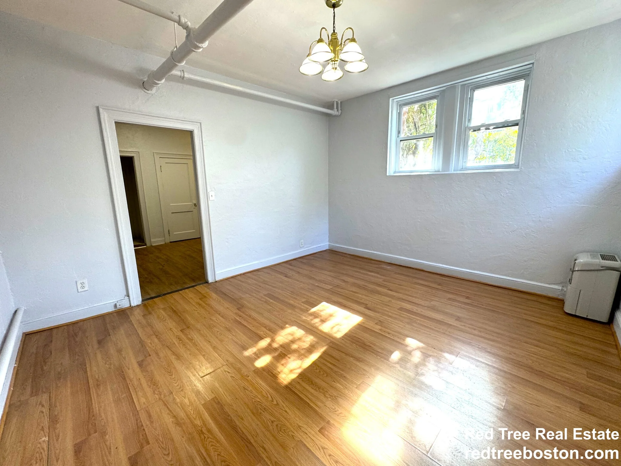 Studio bed, 1 bath apartment for rent at 281 Corey Rd, Brighton — photo 5 of 14