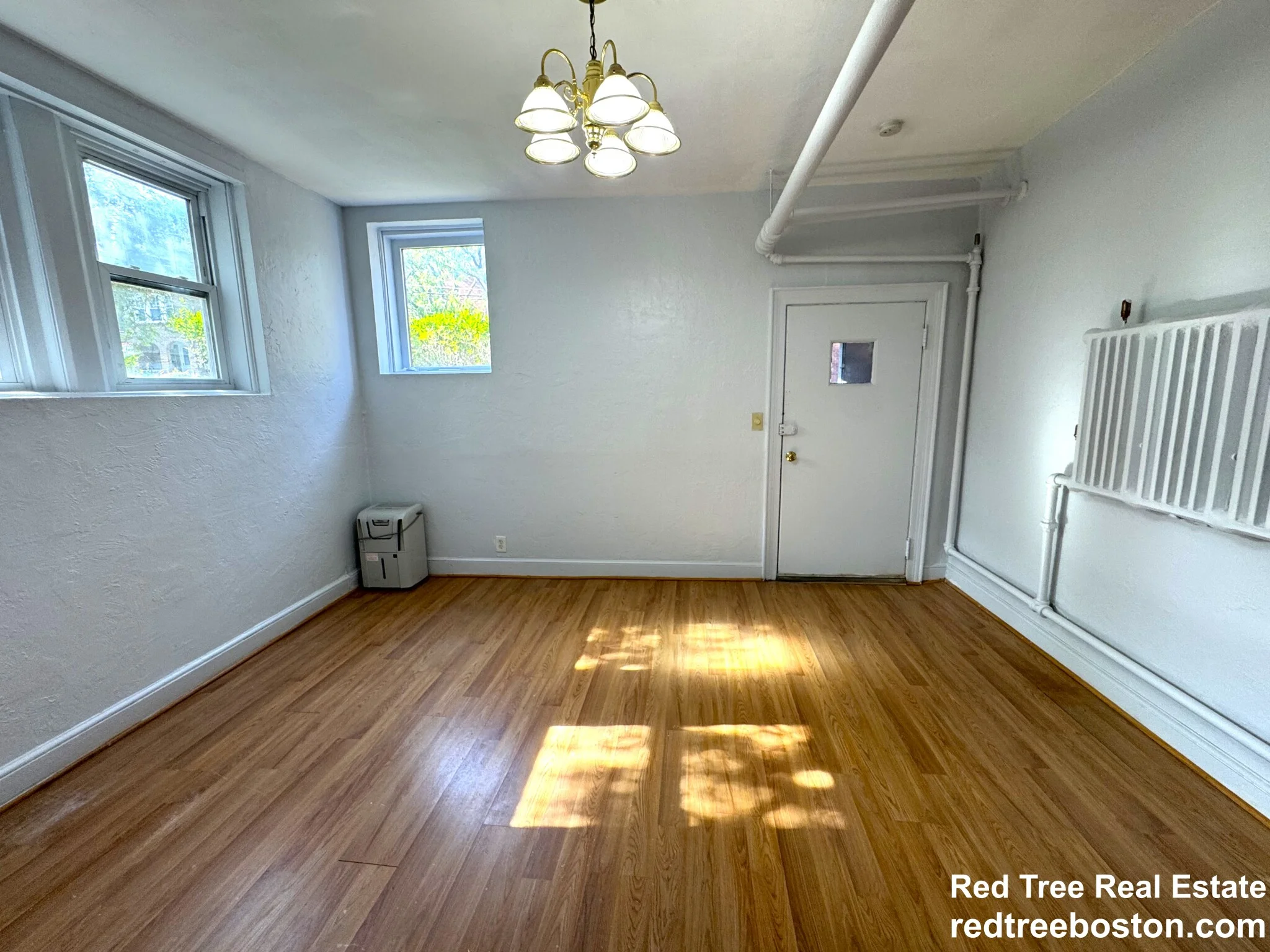 Studio bed, 1 bath apartment for rent at 281 Corey Rd, Brighton — photo 6 of 14