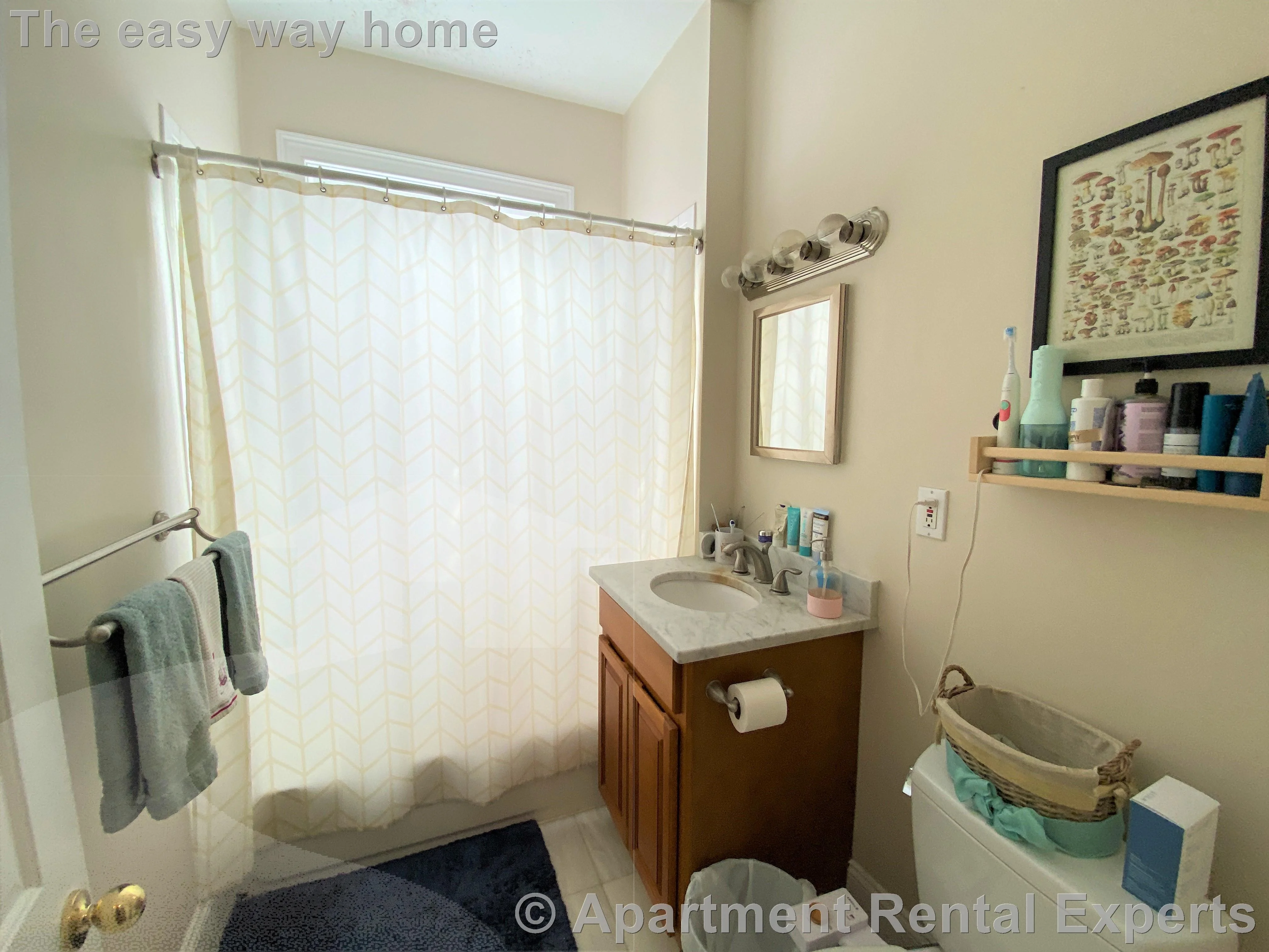 1 bed, 1 bath apartment for rent at 281 Harvard St Unit 44, Central Square — photo 4 of 16