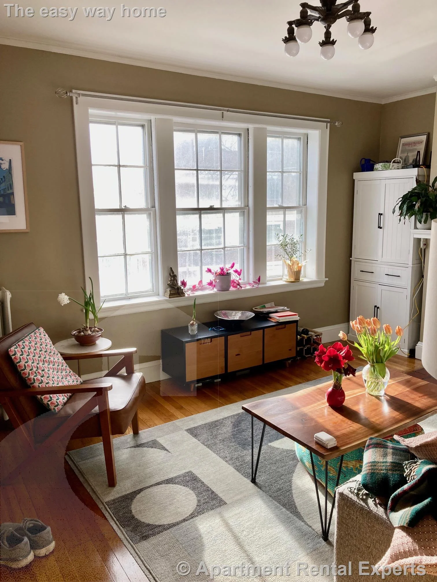 1 bed, 1 bath apartment for rent at 285 Harvard St Unit 307, Mid Cambridge — photo 4 of 17