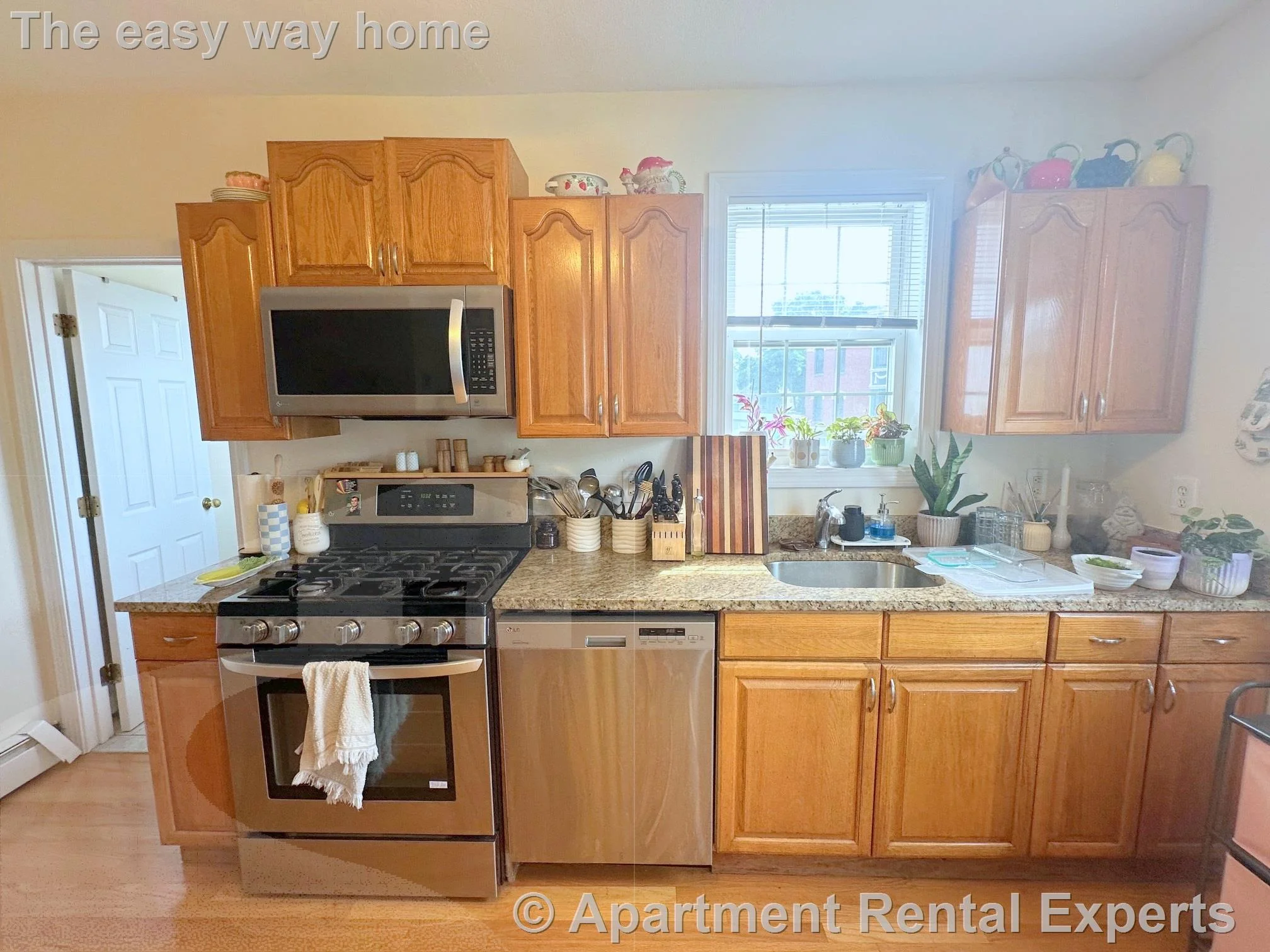 2 bed, 1 bath apartment for rent at 286 Salem St, Medford Square — photo 2 of 12