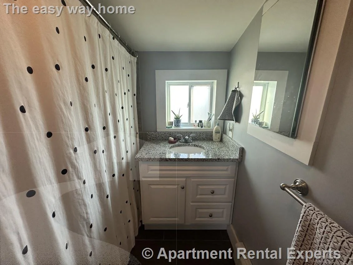 2 bed, 1 bath apartment for rent at 287 Beacon St Unit 2, Porter Square — photo 6 of 12