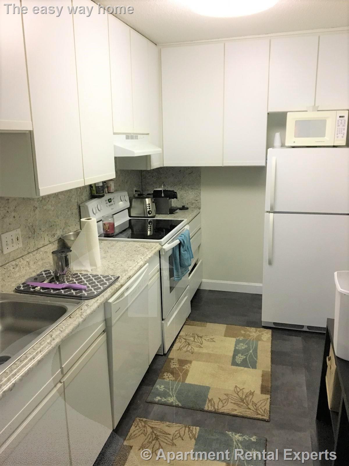 2 bed, 1 bath apartment for rent at 287 Harvard St Unit 19, Central Square — photo 3 of 7
