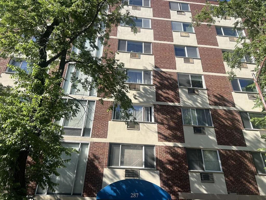 1 bed, 1 bath apartment for rent at 287 Harvard St Unit 55, Central Square — photo 7 of 8