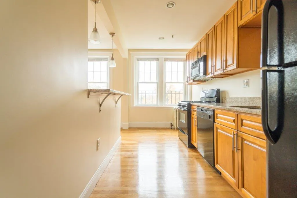 Studio bed, 1 bath apartment for rent at 288 Chestnut Hill Ave Unit 14, Brighton — photo 3 of 9