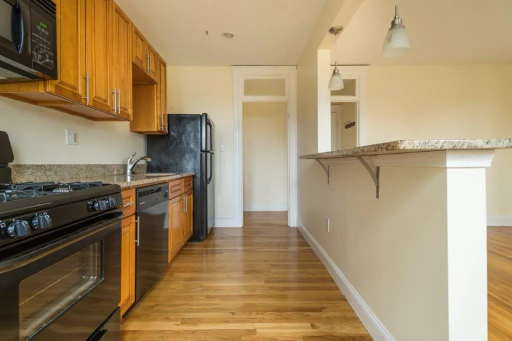 Studio bed, 1 bath apartment for rent at 288 Chestnut Hill Ave Unit 14, Brighton — photo 2 of 9