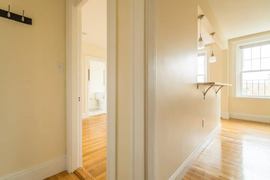Studio bed, 1 bath apartment for rent at 288 Chestnut Hill Ave Unit 14, Brighton — photo 5 of 9
