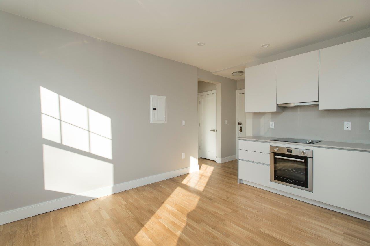 1 bed, 1 bath apartment for rent at 288 Chestnut Hill Ave Unit 17, Brighton — photo 6 of 9