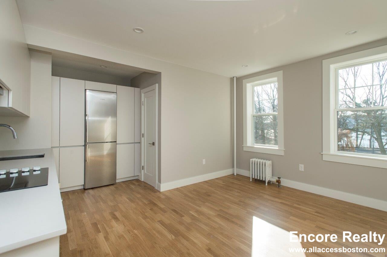 1 bed, 1 bath apartment for rent at 288 Chestnut Hill Ave Unit 17A, Brighton — photo 8 of 12