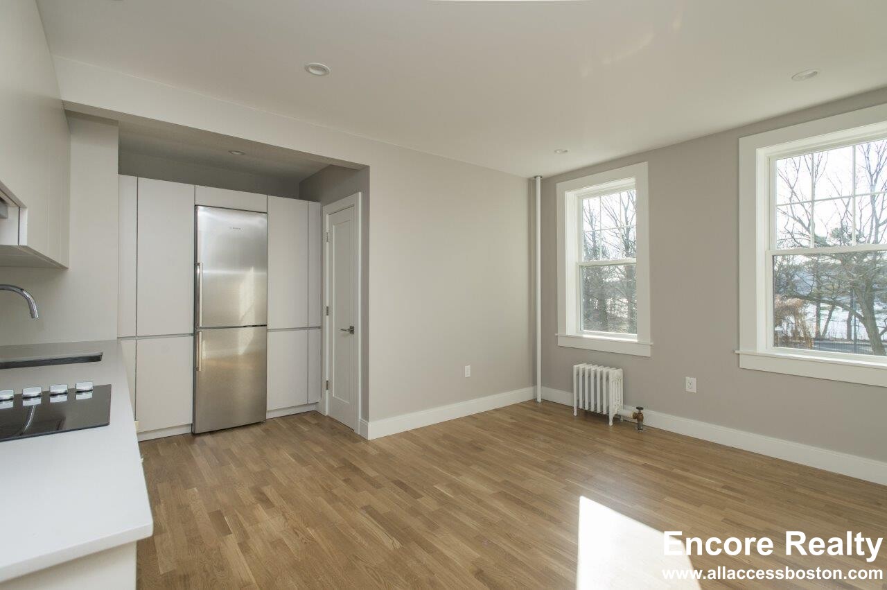 1 bed, 1 bath apartment for rent at 288 Chestnut Hill Ave Unit 17A, Brighton — photo 11 of 12