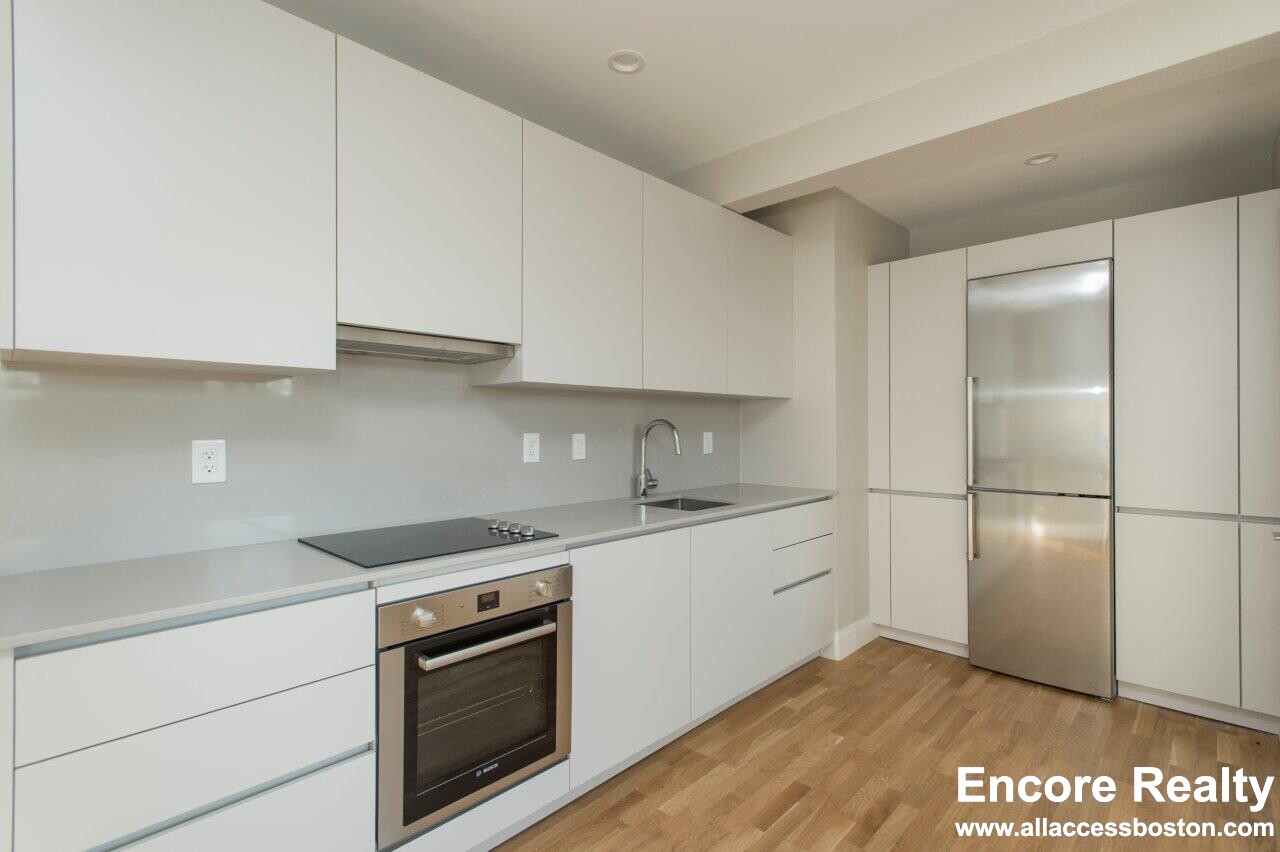 1 bed, 1 bath apartment for rent at 288 Chestnut Hill Ave Unit 17A, Brighton — photo 3 of 12
