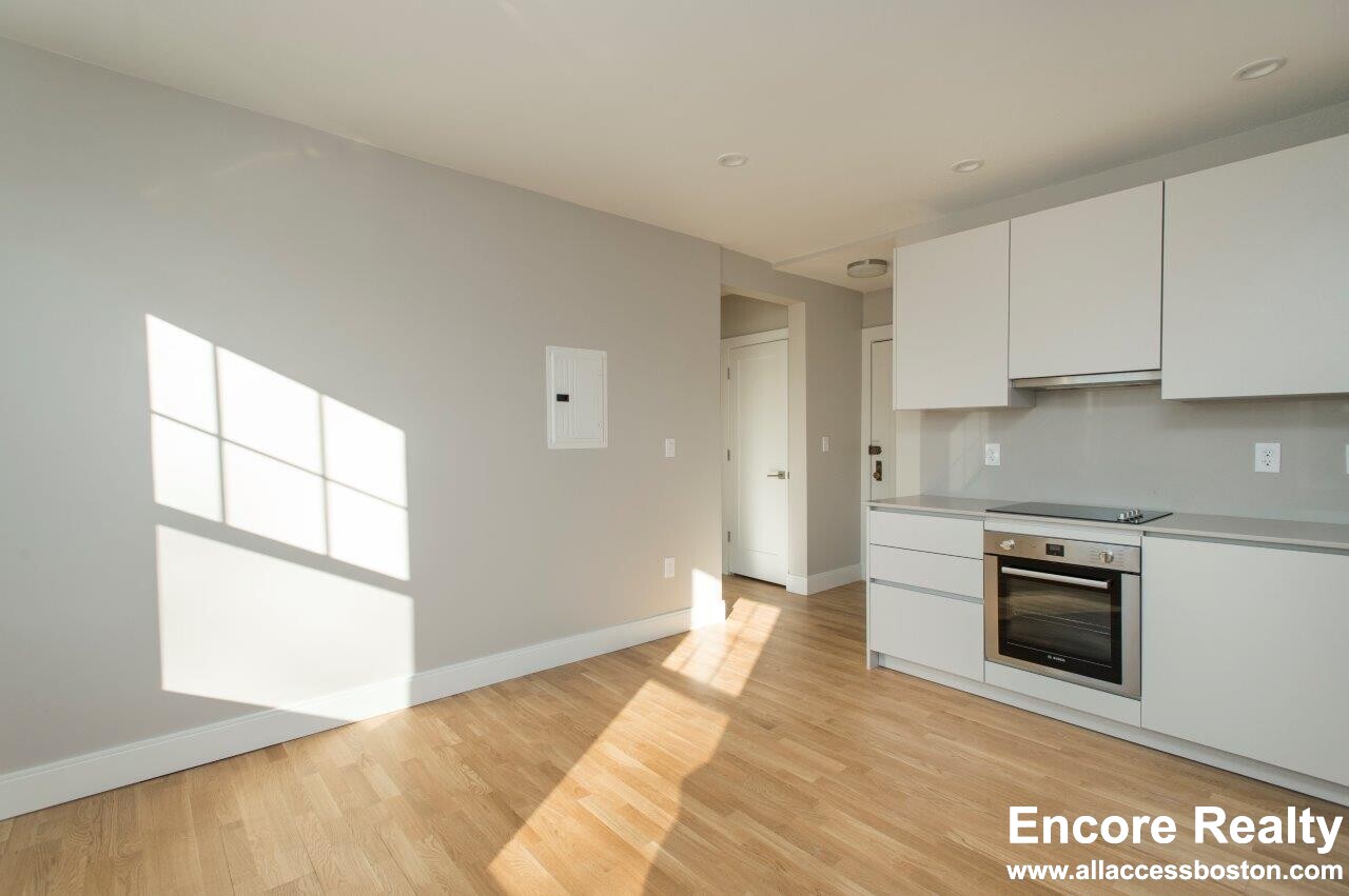 1 bed, 1 bath apartment for rent at 288 Chestnut Hill Ave Unit 17A, Brighton — photo 2 of 12