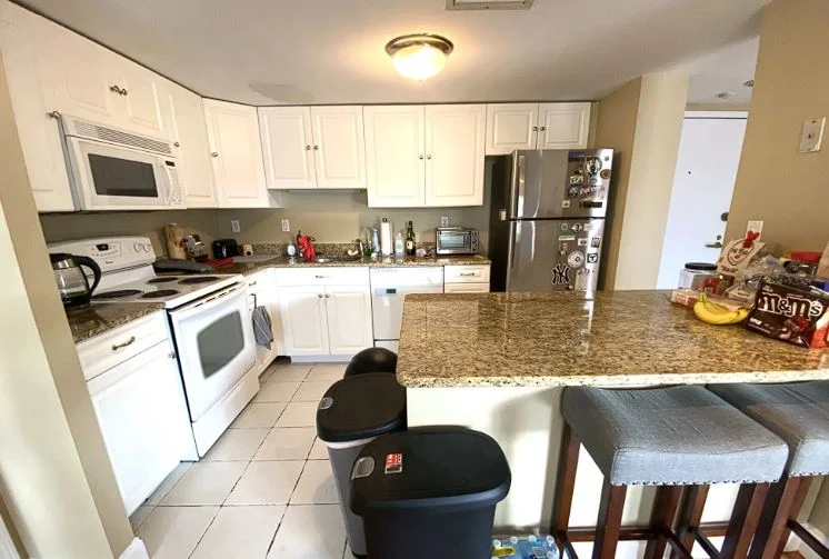2 bed, 2 bath apartment for rent at 288 East 8th St Unit 2A, South Boston — photo 4 of 10