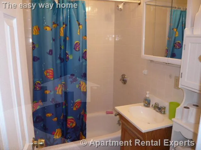 2 bed, 1 bath apartment for rent at 288 Prospect St Unit 4, Inman Square — photo 5 of 5