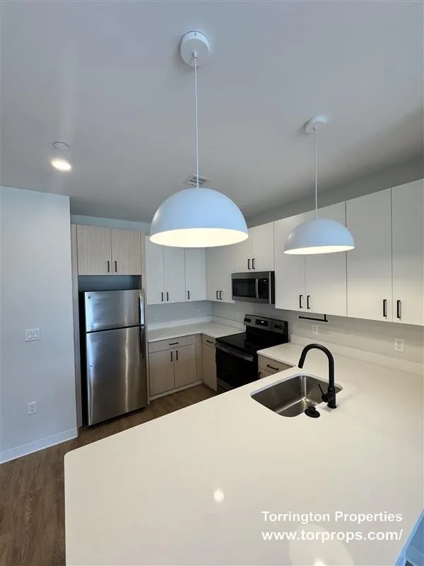 1 bed, 1 bath apartment for rent at 289 Walk Hill St Unit 209, Roslindale — photo 25 of 28