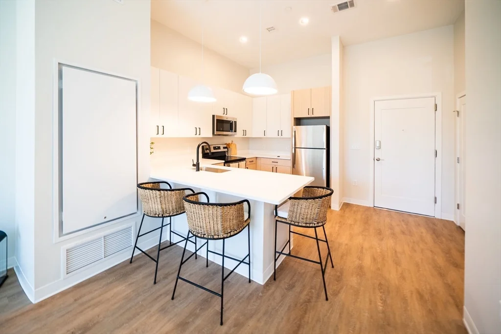 3 bed, 3 bath apartment for rent at 289A Walk Hill St Unit 110, Boston