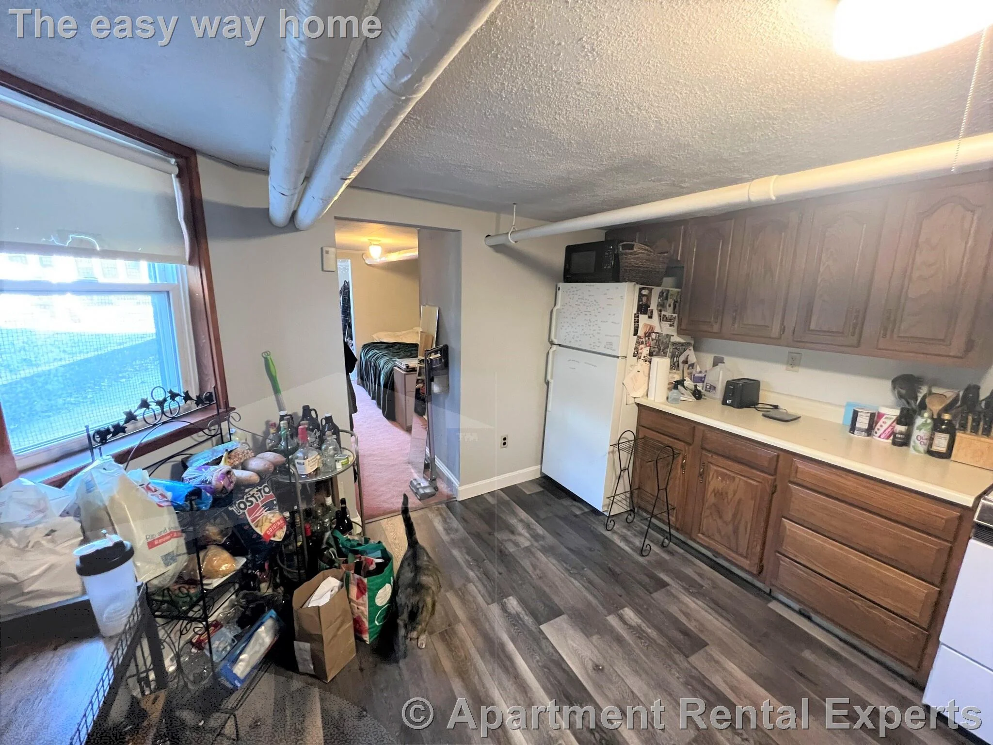 1 bed, 1 bath apartment for rent at 29 Cameron Ave Unit B, Davis Square — photo 2 of 12