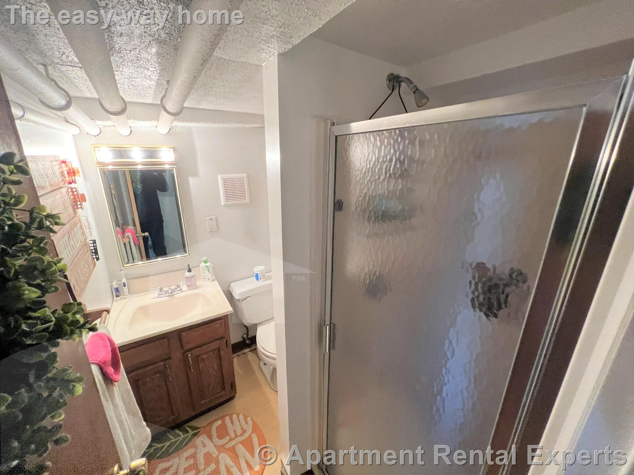 1 bed, 1 bath apartment for rent at 29 Cameron Ave Unit B, Davis Square — photo 10 of 12