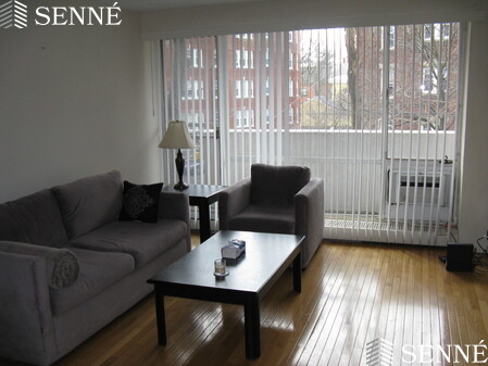 1 bed, 1 bath apartment for rent at 29 Concord Ave Unit 314, Neighborhood Nine — photo 3 of 6