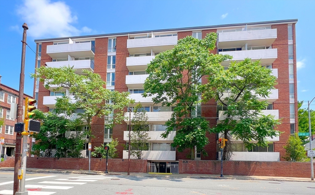1 bed, 1 bath apartment for rent at 29 Concord Ave Unit 702, Harvard Square — photo 1 of 28