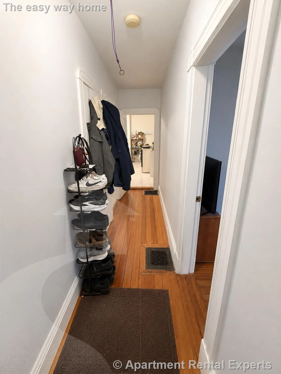 1 bed, 1 bath apartment for rent at 29 Gold Star Rd Unit 1, Davis Square — photo 3 of 6