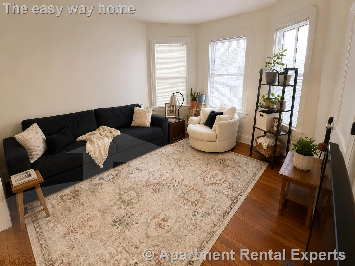 1 bed, 1 bath apartment for rent at 29 Gold Star Rd Unit 1, Davis Square — photo 4 of 6