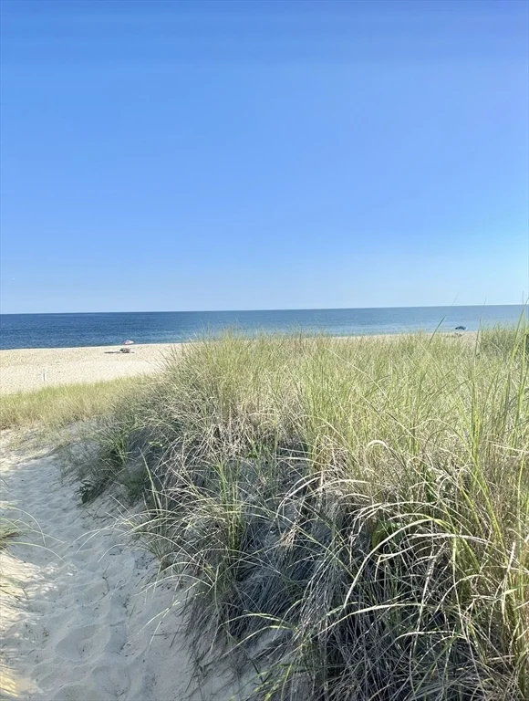 4 bed, 4+ bath apartment for rent at 29 Nonantum Ave, Surfside — photo 8 of 42