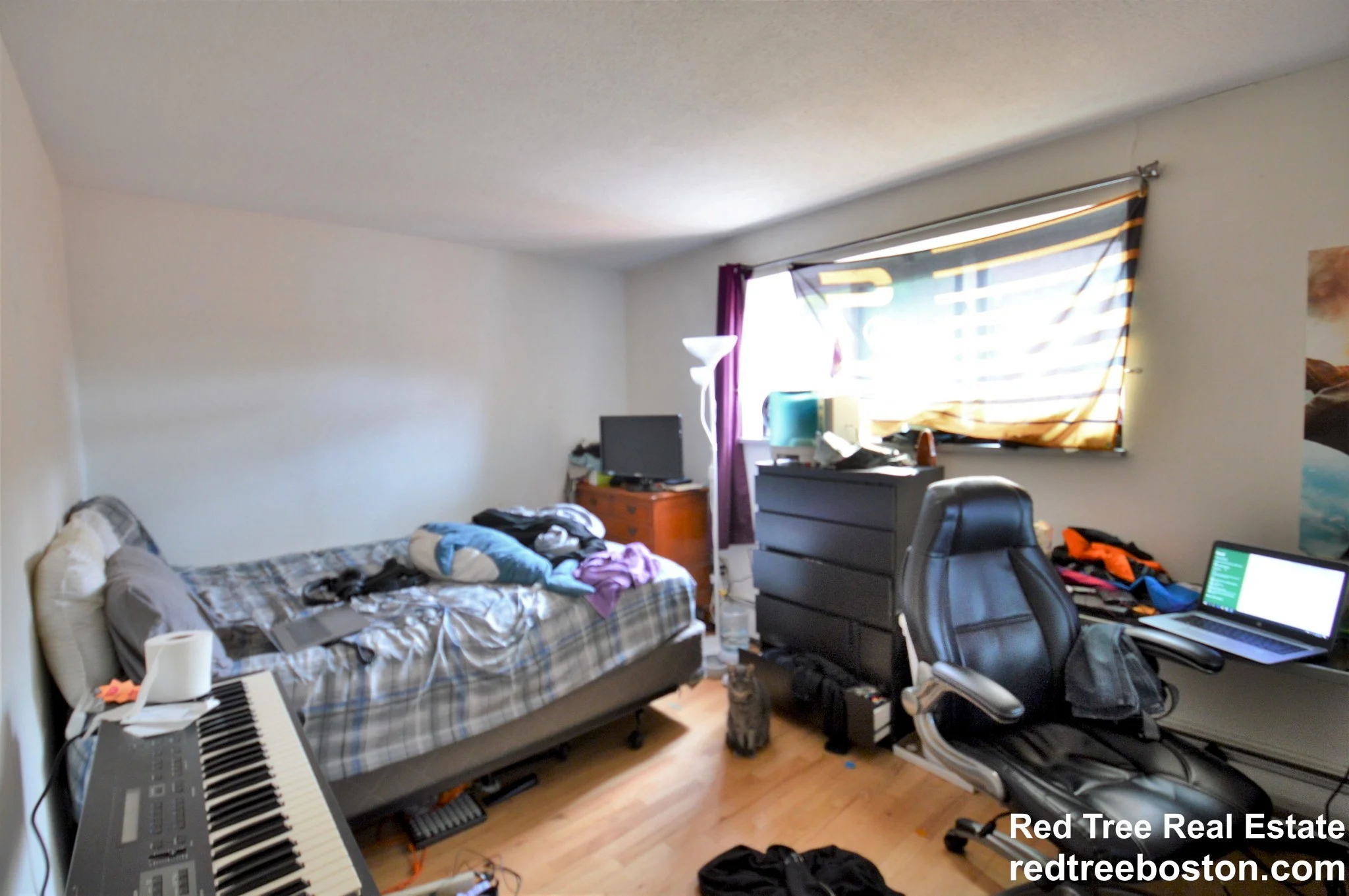 2 bed, 1 bath apartment for rent at 290 Corey Rd Unit 43, Brighton — photo 7 of 10