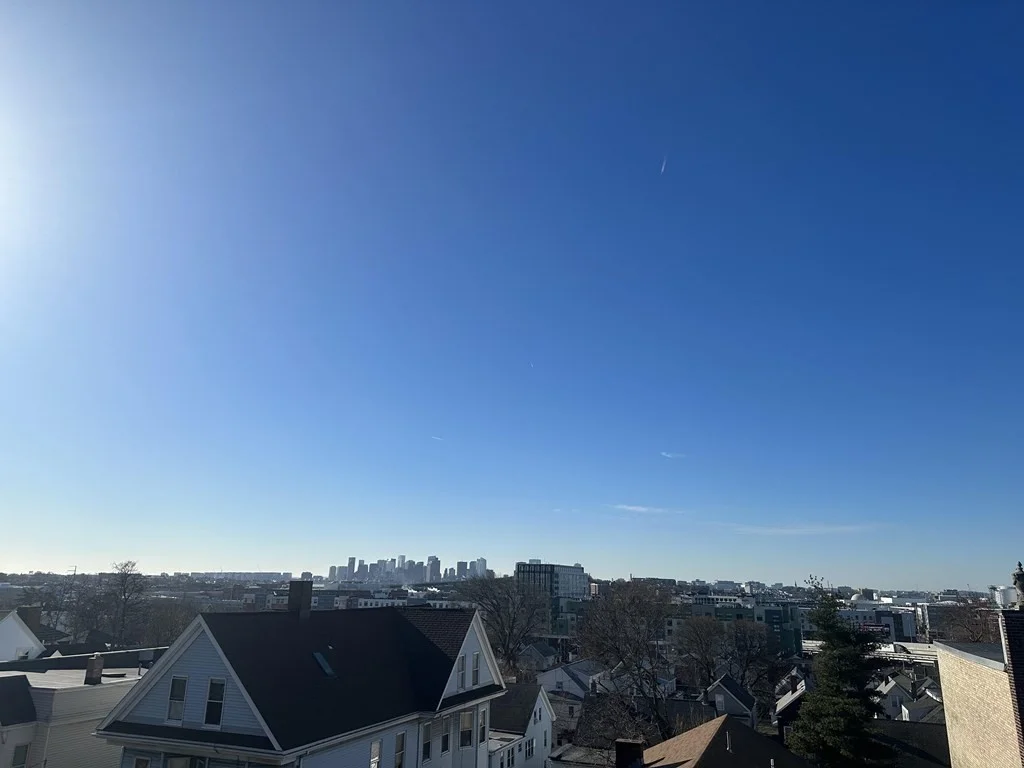 2 bed, 1 bath apartment for rent at 291 Washington Ave Unit 3F, Chelsea — photo 13 of 13