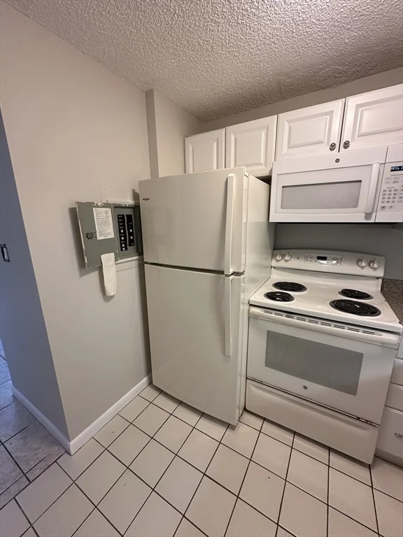 2 bed, 2 bath apartment for rent at 292 Salem Unit 503, Revere — photo 5 of 19